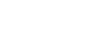 The House Inspector